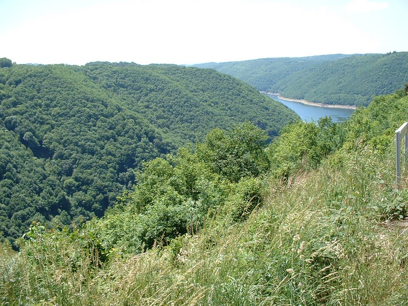Correze_Mai_2003_12.jpg