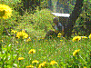 Haute-Savoie_Mai_2004_20.jpg