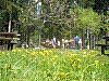 Haute-Savoie_Mai_2004_23.jpg