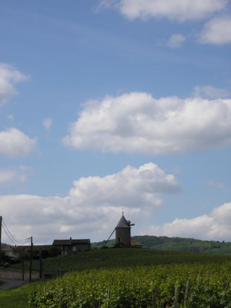 BEAUJOLAIS_2006-05-24_07.jpg