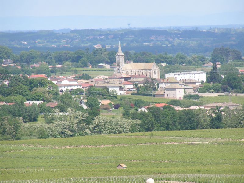 beaujolais_2006-05-24_15h23m11s.jpg