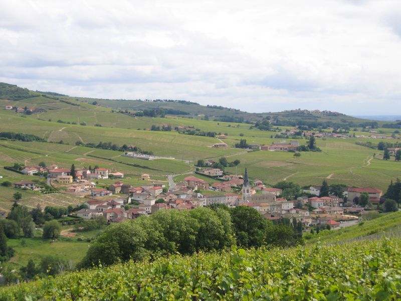 BEAUJOLAIS_2006-05-27_10h38m36s.jpg