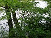 Ascension Flers_2015-05-15_11h19m18s.JPG