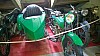Bourgogne Dijon_2016-05-19_15h25m_02.jpg