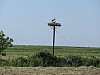 2017-05-26_11h37m13s_Jonzac.JPG