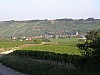 P9050015.JPG