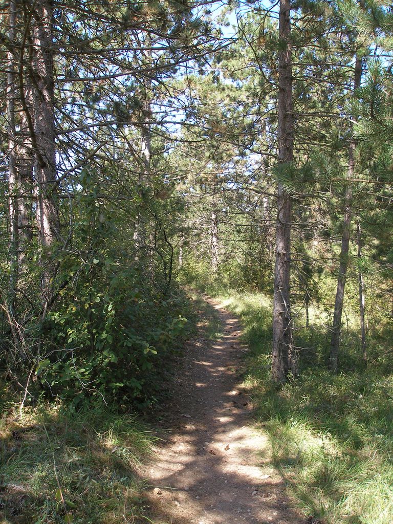P9050029.JPG