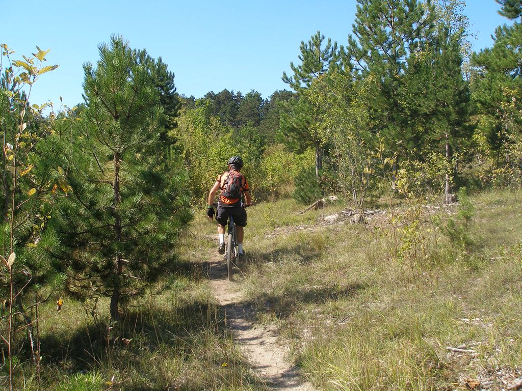 P9050040.JPG