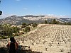 DSCF0634.JPG
