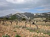 IMG_0306.JPG