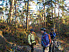 Fontainebleau_2010-01-03_10h30.jpg