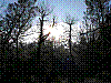 Fontainebleau_2010-01-03_12h35.jpg