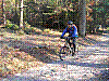 Fontainebleau_2010-01-03_12h35_03.jpg