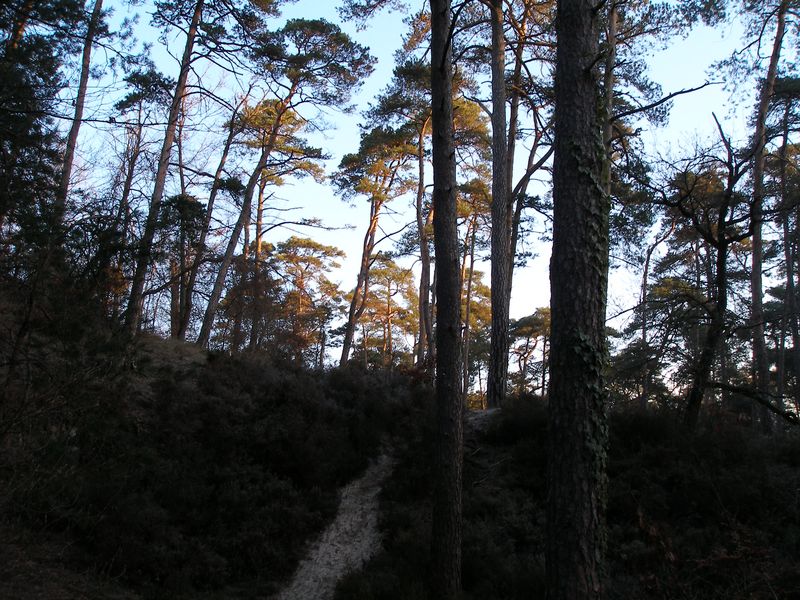 Fontainebleau_2010-01-03_10h16.jpg