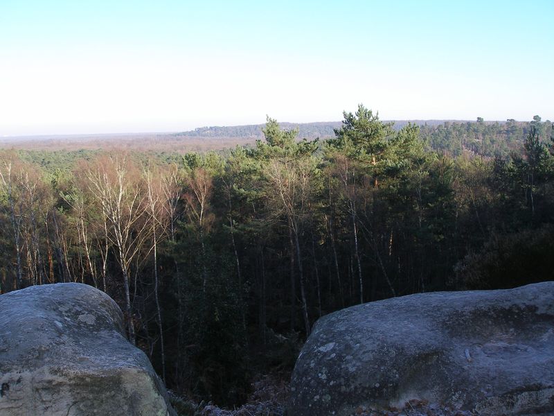 Fontainebleau_2010-01-03_13h02.jpg