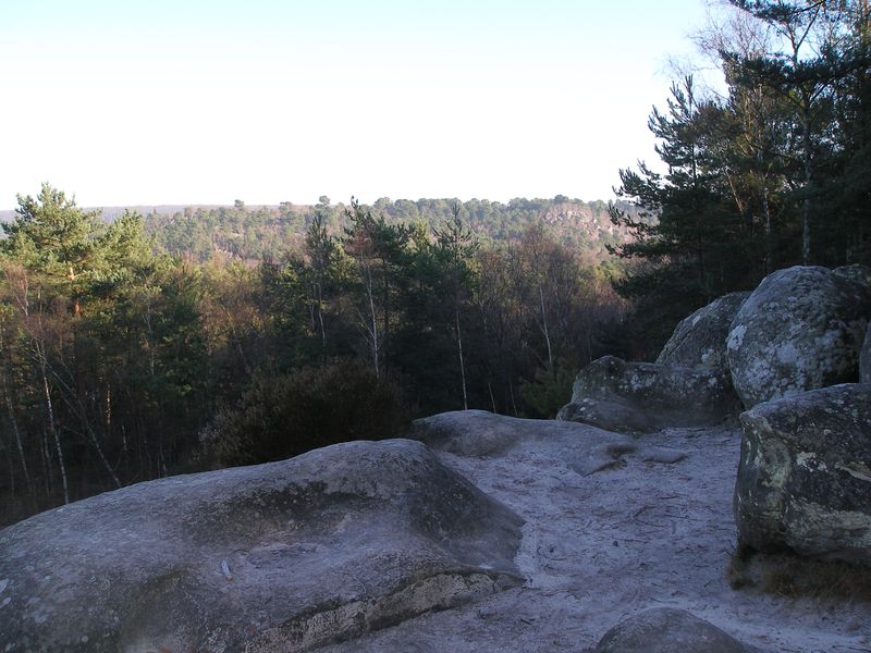 Fontainebleau_2010-01-03_13h03.jpg