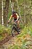 0599_2.jpg