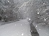 PC190083.JPG