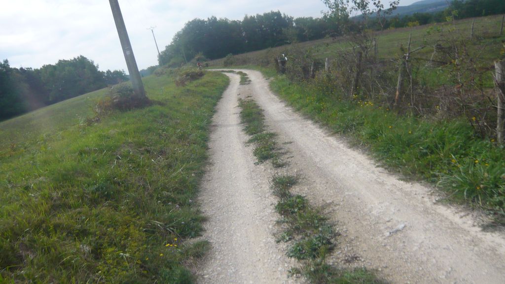 P1020383.JPG